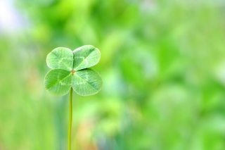 息子を心から可愛いと思えるようになりました。