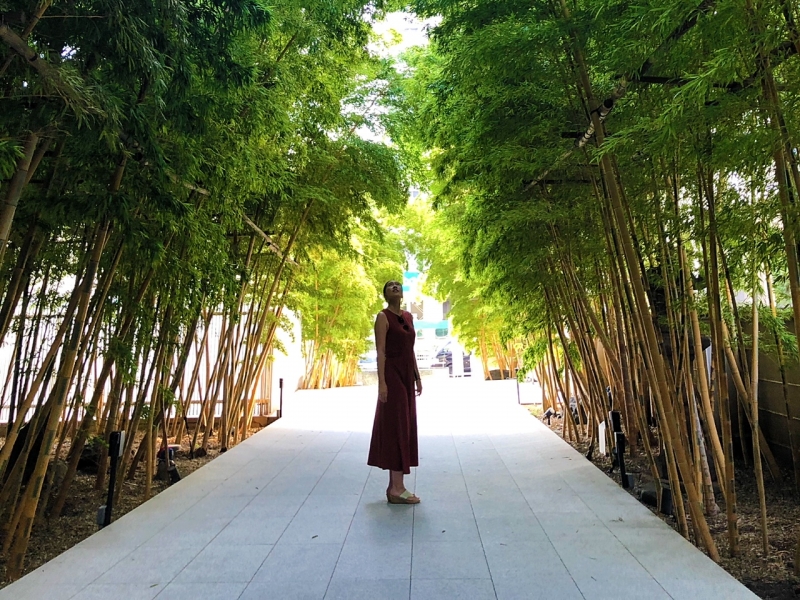 大人の女性の発達障害専門カウンセリング